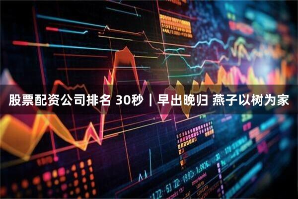 股票配资公司排名 30秒｜早出晚归 燕子以树为家