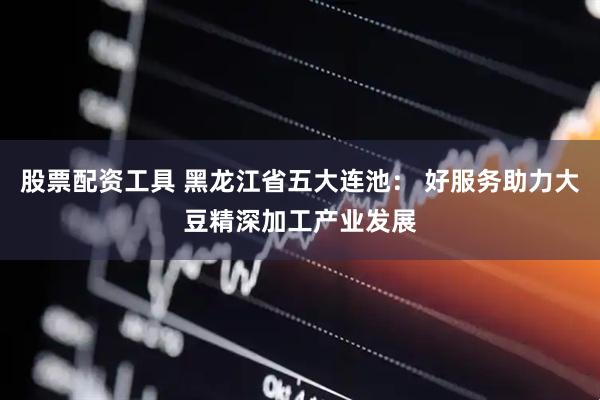 股票配资工具 黑龙江省五大连池： 好服务助力大豆精深加工产业发展