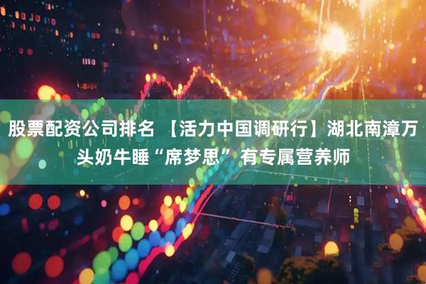 股票配资公司排名 【活力中国调研行】湖北南漳万头奶牛睡“席梦思” 有专属营养师