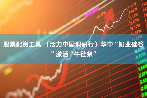 股票配资工具 （活力中国调研行）华中“奶业硅谷”激活“牛链条”